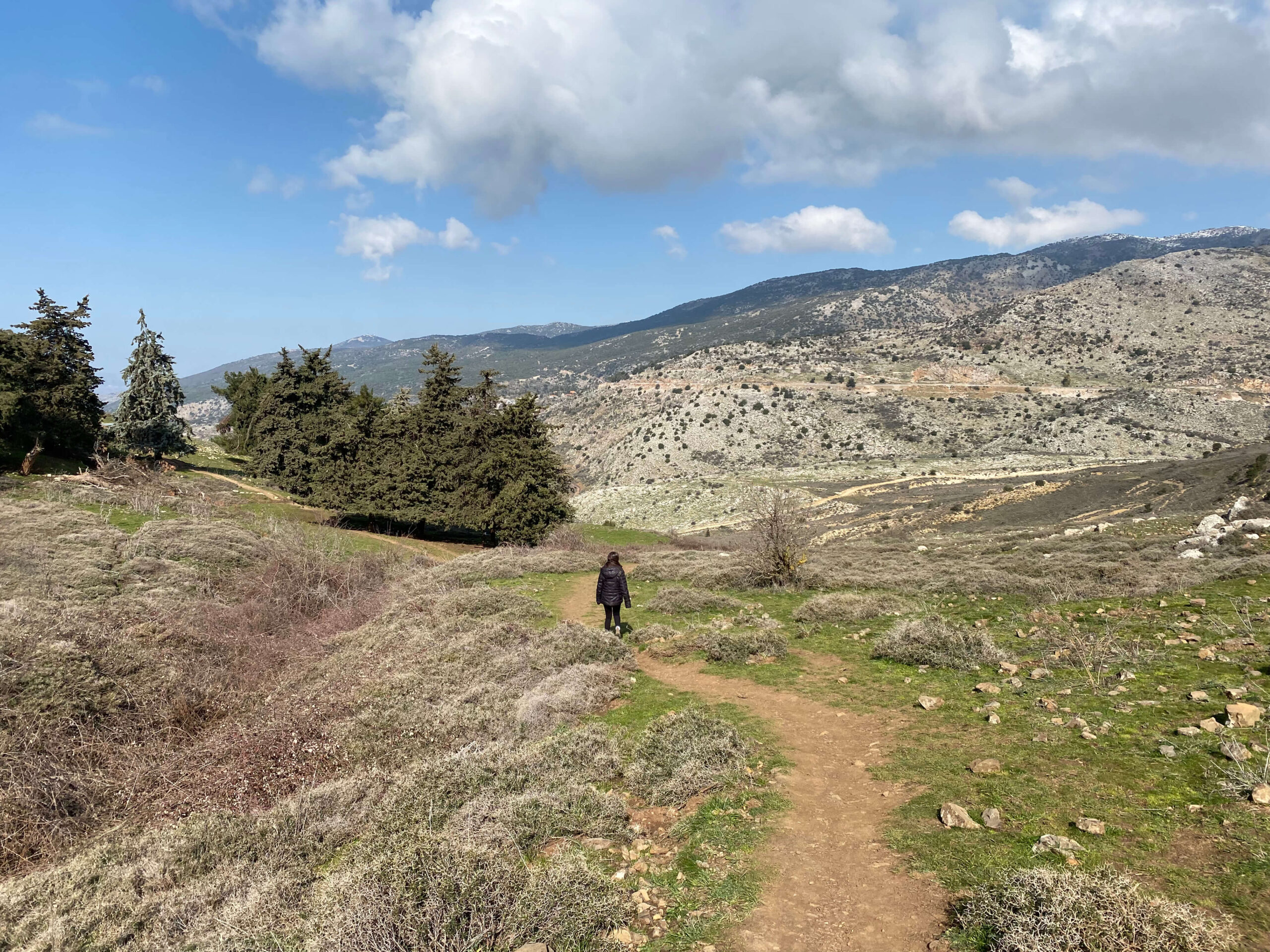 מטה התאום לצפון: קפיצת מדרגה, חדשנות ומצוינות, משרד החינוך