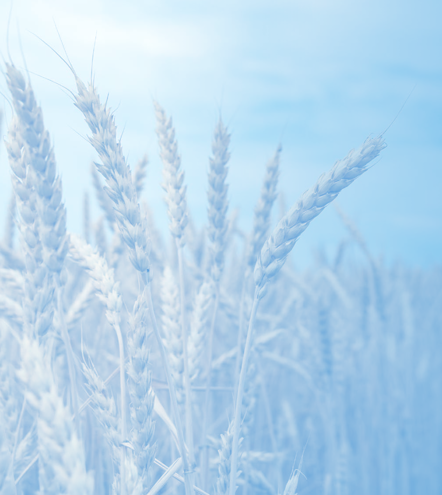 עדכון חודשי – מנהלת תקומה